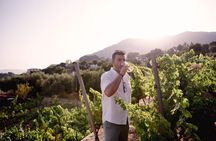 Mijas Organic Vineyard: Exclusive Sunset Wine & OliveOil Tasting