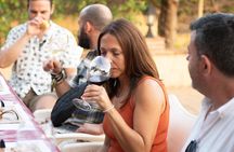 Near Malaga: Mijas Organic Vineyard, 5 Wines, 2 Oils & Tapas