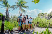 Tulum and Exclusive Cave Cenote Discovery with Lunch