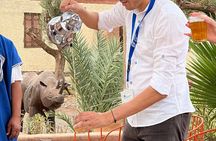 Taste of Morocco Guided Food Tour in Tangier
