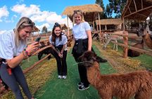 Private Sacred Valley Tour: Cusco, Maras, Moray & Ollantaytambo