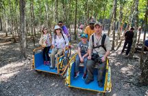 Ancient Mayan Cities, Tulum, Coba Ruins Exploration and Lunch