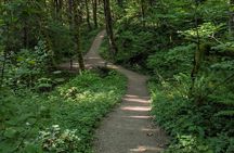 Tryon Creek Eco-tour With a Master Naturalist 