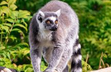 Wilder Institute/Calgary Zoo: Entry Ticket