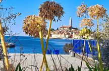 Rovinj Walking Tour