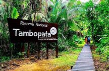 3 Days Tambopata National Reserve Wildlife Adventure