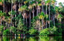 3 Days Tambopata National Reserve Wildlife Adventure