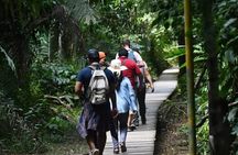 3 Days Tambopata National Reserve Wildlife Adventure