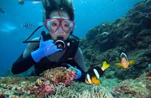 Boat entry diving at the Blue Cave in Onna Village, Okinawa!
