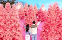 Romantic Winter Wonderland Tour from Seoul