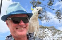 Private Blue Mountains Day Tour – Flexible and Customised
