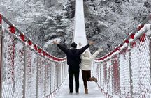 Romantic Winter Wonderland Tour from Seoul