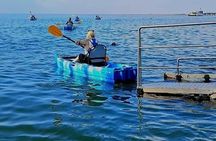 Catamaran, Kayaking & Sandwich Harbour