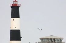 Catamaran, Kayaking & Sandwich Harbour