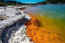 FULL DAY ROTORUA TOUR - Fully Customisable 13 hours Unlimited KMS