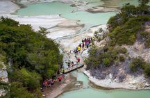 FULL DAY ROTORUA TOUR - Fully Customisable 13 hours Unlimited KMS