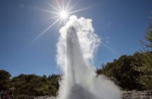 From Auckland, Rotorua Waiotapu and Maori Village Tour with Haka 