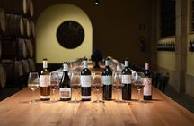 Guided tour and tasting at Duca di Salaparuta Winery