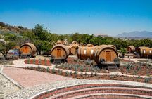 Tequila & Ancient Ruins: Private Day Trip from Puerto Vallarta