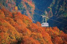 2 Day Niigata Autumn Tour including Naeba Dragondola and Ropeways