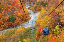 2 Day Niigata Autumn Tour including Naeba Dragondola and Ropeways