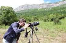 Bulgaria Nature and Wildlife Tours