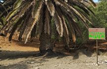 Syros Hiking Exploration in the Untouched Apano Meria