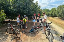 Private E-bike Tour "Alta Langa, between Barolo and Barbaresco"