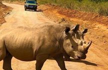 Early Morning Safari at Nairobi National Park