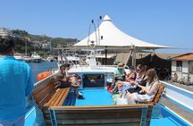 Capri Mini Cruise with Swimming Stop and Free Time on the Island 