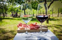Half Day Escape to Chianti: Taste the Heart of Tuscany