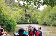 Jet Ski Kilim Mangrove Tour