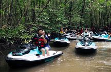 Jet Ski Kilim Mangrove Tour