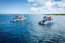 All Inclusive Snorkel and Slide Boat Tour: Icacos or Vieques