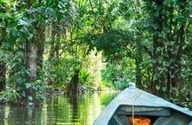 4Day Amazon Rainforest Tour in Tambopata National Reserve