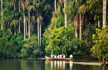 4Day Amazon Rainforest Tour in Tambopata National Reserve