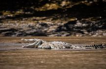 Palo Verde National Park Boat Safari with Local Cuisine