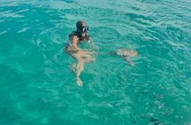 Glass Bottom Boat Snorkeling With Turtles & Shipwreck In Barbados