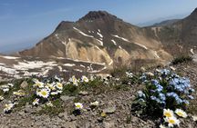 Aragats Mountain Hiking Tour 