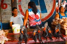 Belén Tour: Exotic Market, Floating City & Amazonian Life