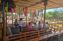 Experience in the Desert and Tours in the Ica Vineyards