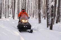 Tromso Snowmobile - Explore Arctic Wilderness by Day