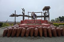 Experience in the Desert and Tours in the Ica Vineyards