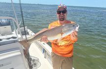 Half Day Inshore and Nearshore Fishing Charter in Sarasota