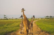 2 Days Tarangire and Ngorongoro Budget Safari in Tanzania