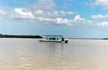 Celestun, Flamenco Adventure, from Merida