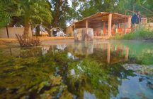 Desert Experience: Night Under the Stars at Ksar Ghilane