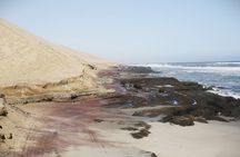 Sandwich Harbour Namibia Where every Holiday Becomes an Adventure