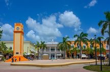 Cozumel Downtown and Craft Beer Tasting