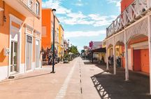 Cozumel Downtown and Craft Beer Tasting